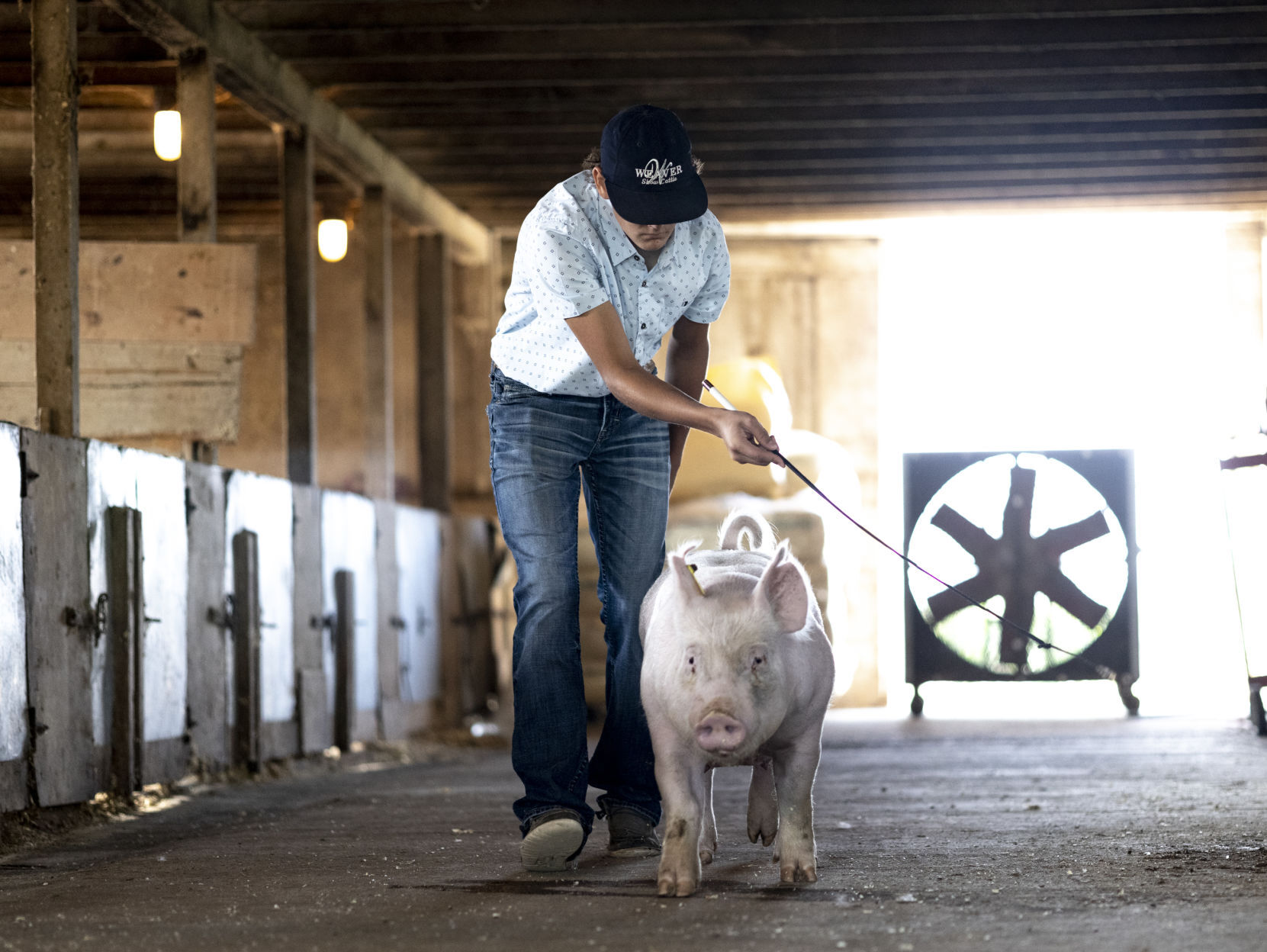 Plymouth County Fair Preview